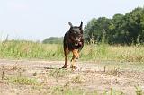 BEAUCERON 035